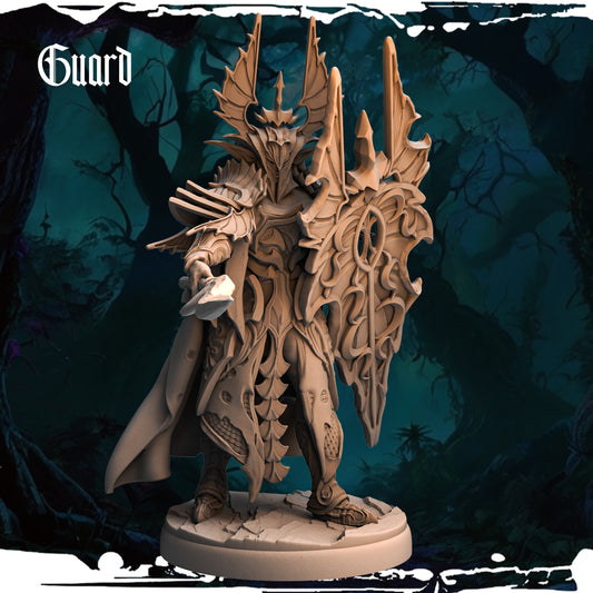Dark Elf - Guard 09
