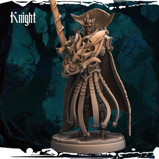 Dark Elf - Knight 01