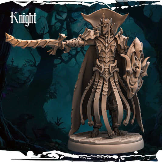 Dark Elf - Knight 03