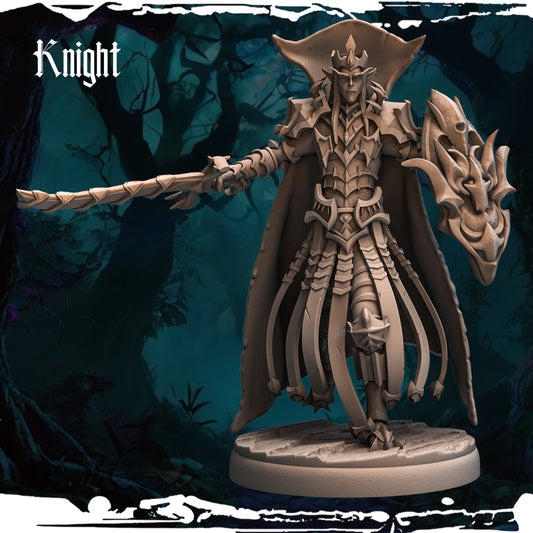 Dark Elf - Knight 04